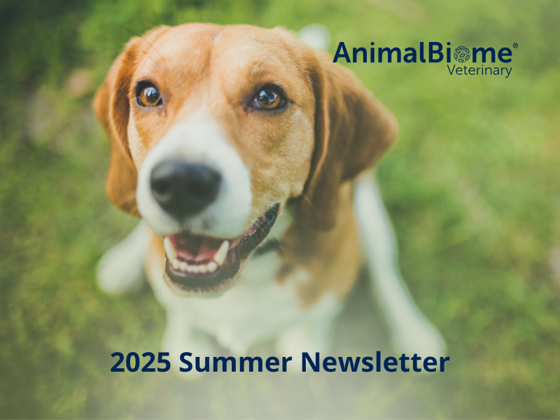 A happy dog with a newsletter titled "2025 Summer Newsletter.