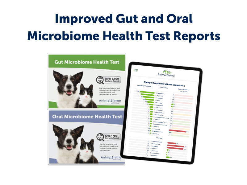 Improved Gut And Oral Microbiome Health Test Reports