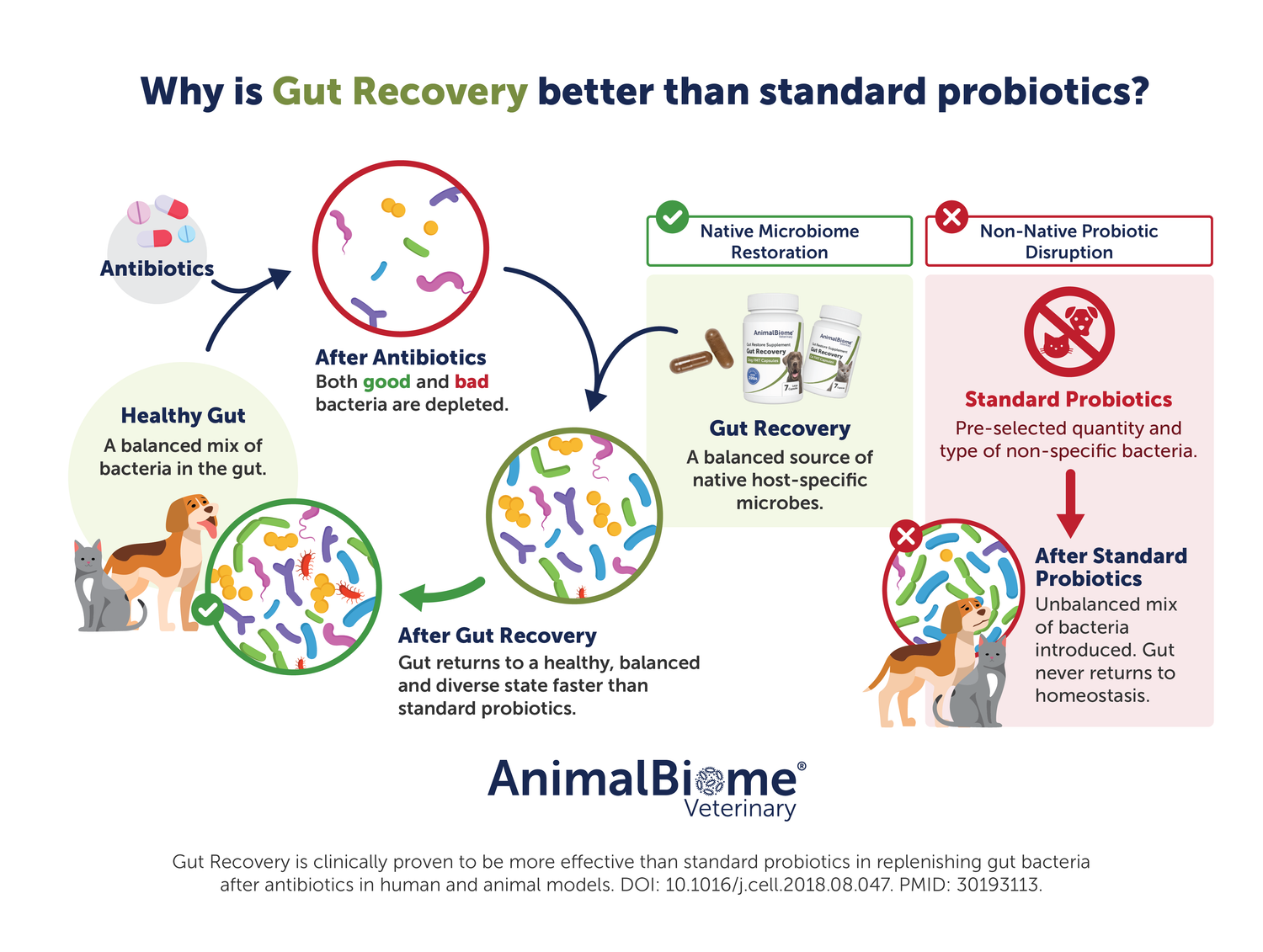 FMT Gut Recovery Capsules For Dogs (2 Sizes Available)