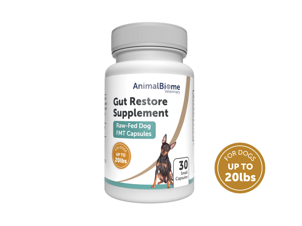 Raw-Fed FMT Gut Restore Capsules for Dogs (2 Sizes Available)