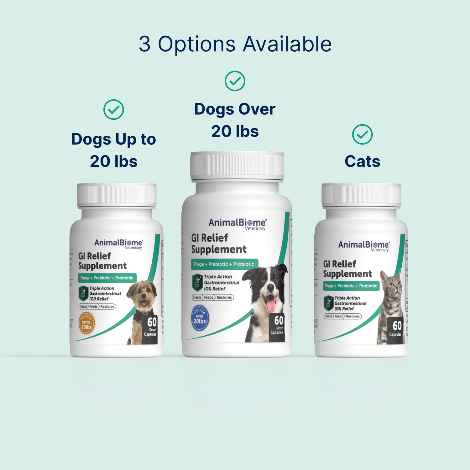 GI Relief Capsules For Dogs (2 Sizes Available)