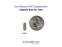 Thumbnail for FMT Gut Restore Capsules For Cats