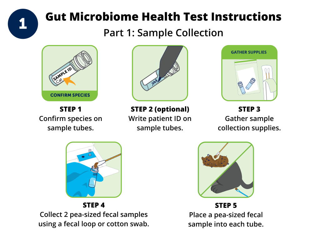 Gut Health Test - 5 Test Bulk Pack