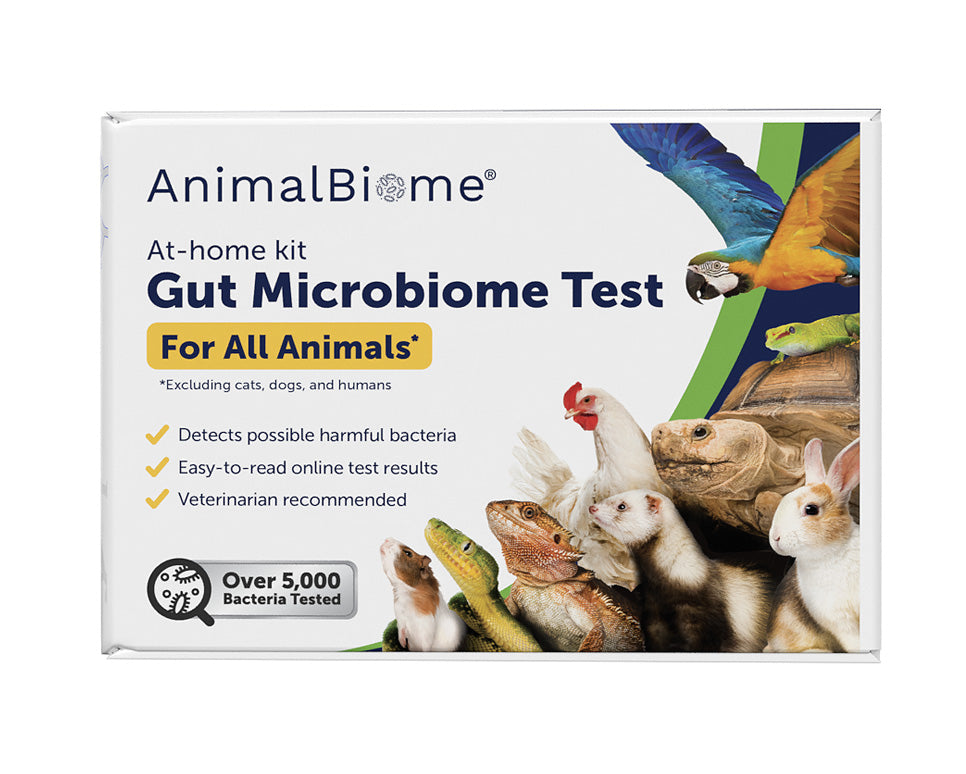 Gut Microbiome Test for Exotic Animals