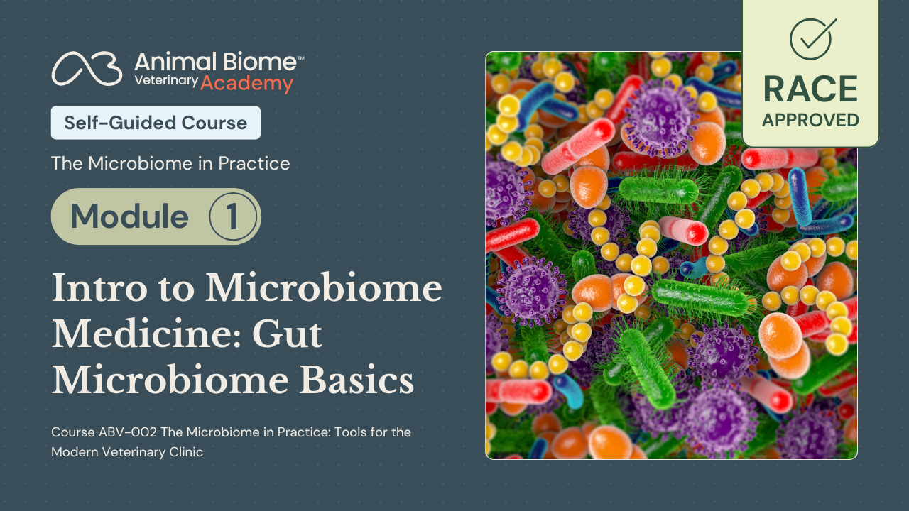 Promotional slide for Animal Biome Veterinary Academy self-guided course, “The Microbiome in Practice,” Module 1: “Intro to Microbiome Medicine: Gut Microbiome Basics,” featuring a colorful microscopic illustration of bacteria and a RACE Approved badge.