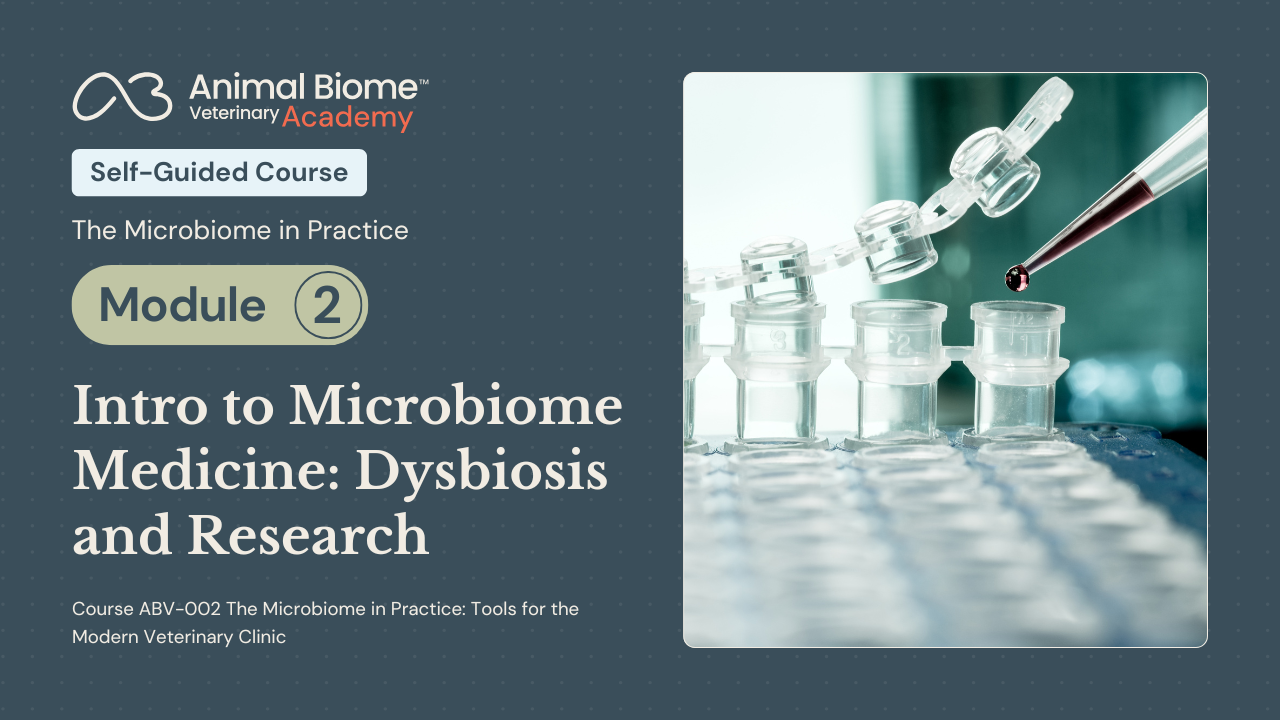 Promotional slide for Animal Biome Veterinary Academy self-guided course, “The Microbiome in Practice,” Module 2: “Intro to Microbiome Medicine: Dysbiosis and Research,” featuring lab vials and a pipette dispensing a red liquid.