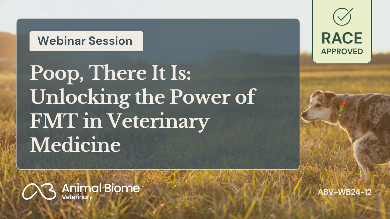 Promotional graphic for a webinar session on FMT in veterinary medicine with a dog in a field.