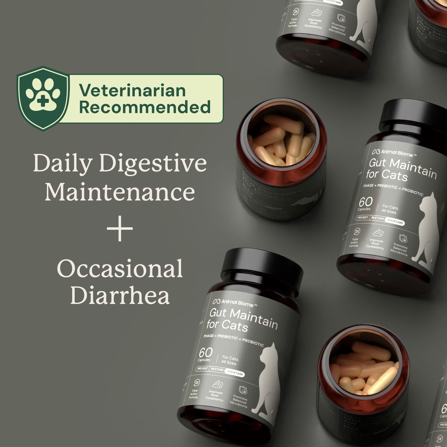 Gut Maintain for Cats