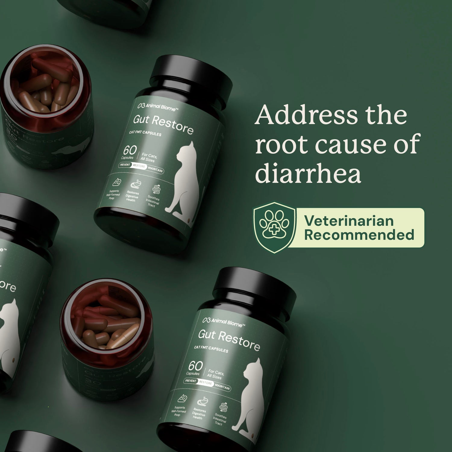 FMT Gut Restore Capsules For Cats