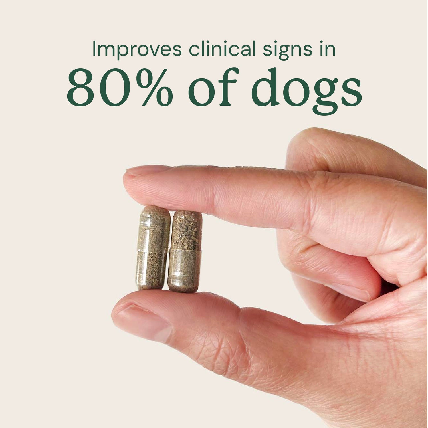 Raw-Fed FMT Gut Restore Capsules for Dogs (3 Sizes Available)