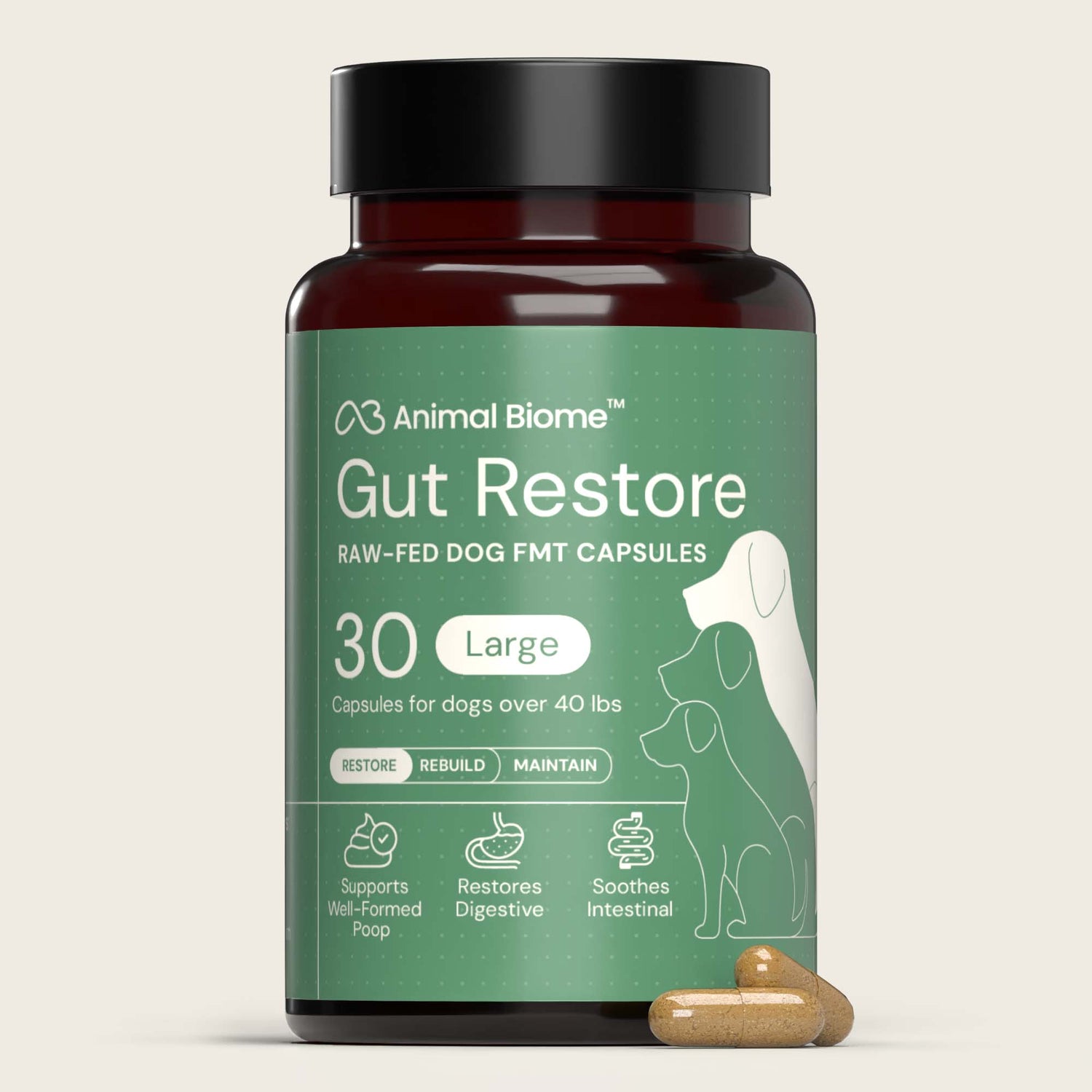 Raw-Fed FMT Gut Restore Capsules for Dogs (3 Sizes Available)