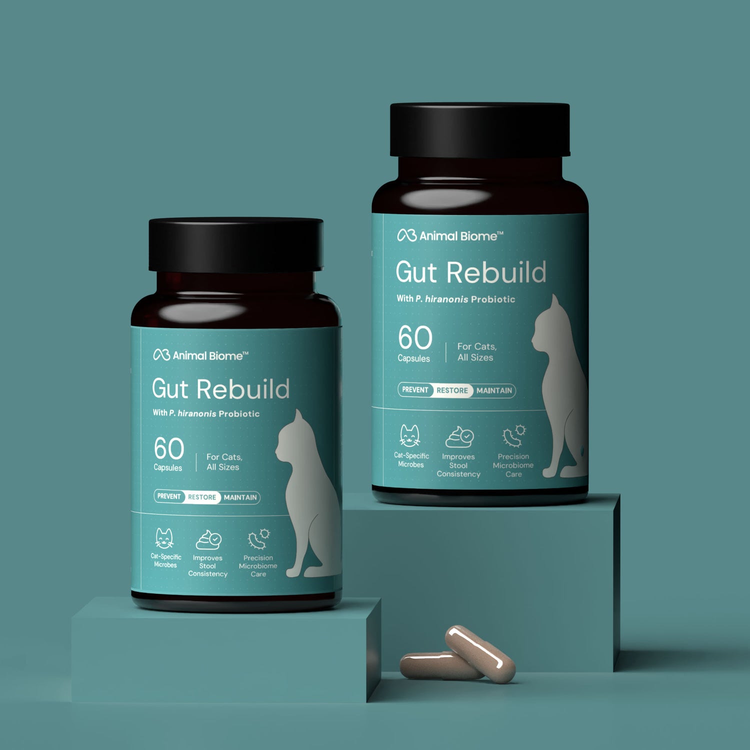 Gut Rebuild for Cats