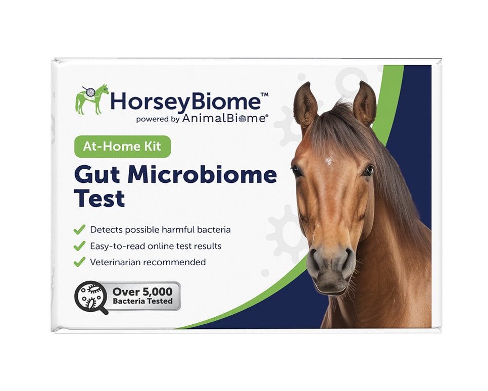 Gut Microbiome Test for Horses