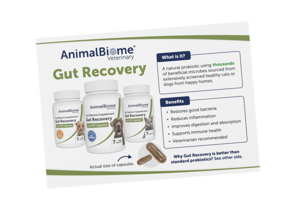 A card about Gut Recovery with information on what it is made of and benefits