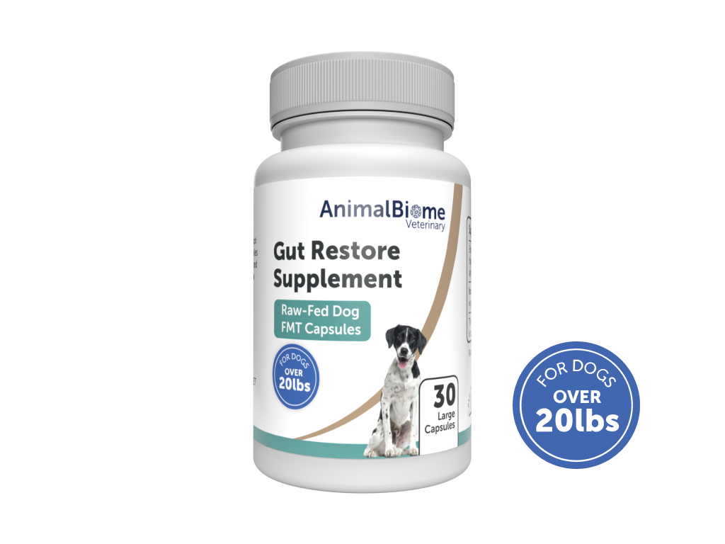 Best supplements for raw fed dogs online