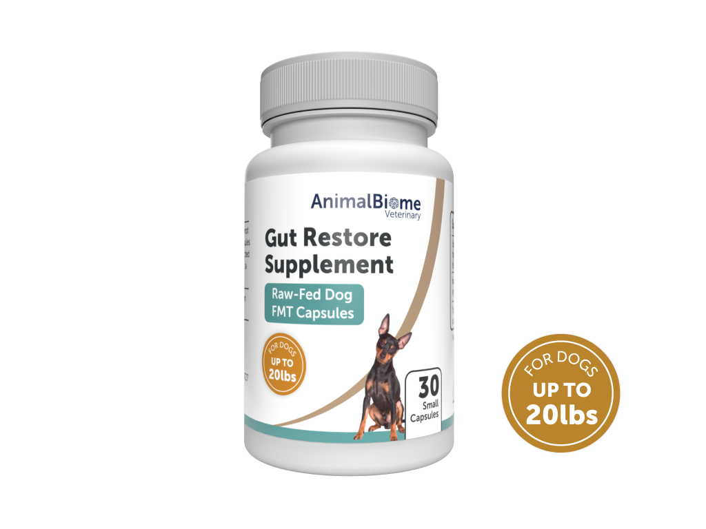 Raw-Fed FMT Gut Restore Capsules for Dogs