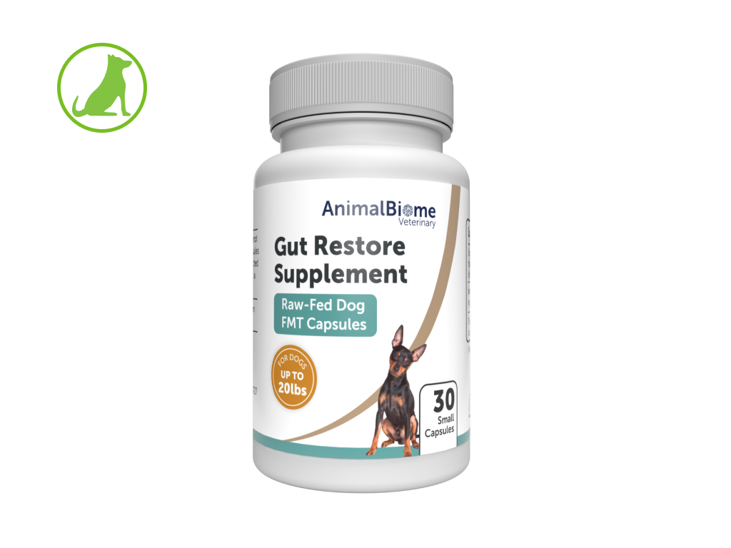 Supplements for raw fed dogs best sale
