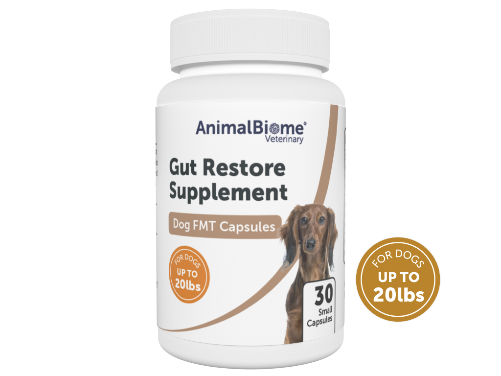 FMT Gut Restore Capsules For Dogs (2 Sizes Available)