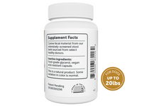 Thumbnail for FMT Gut Restore Capsules For Dogs (2 Sizes Available)
