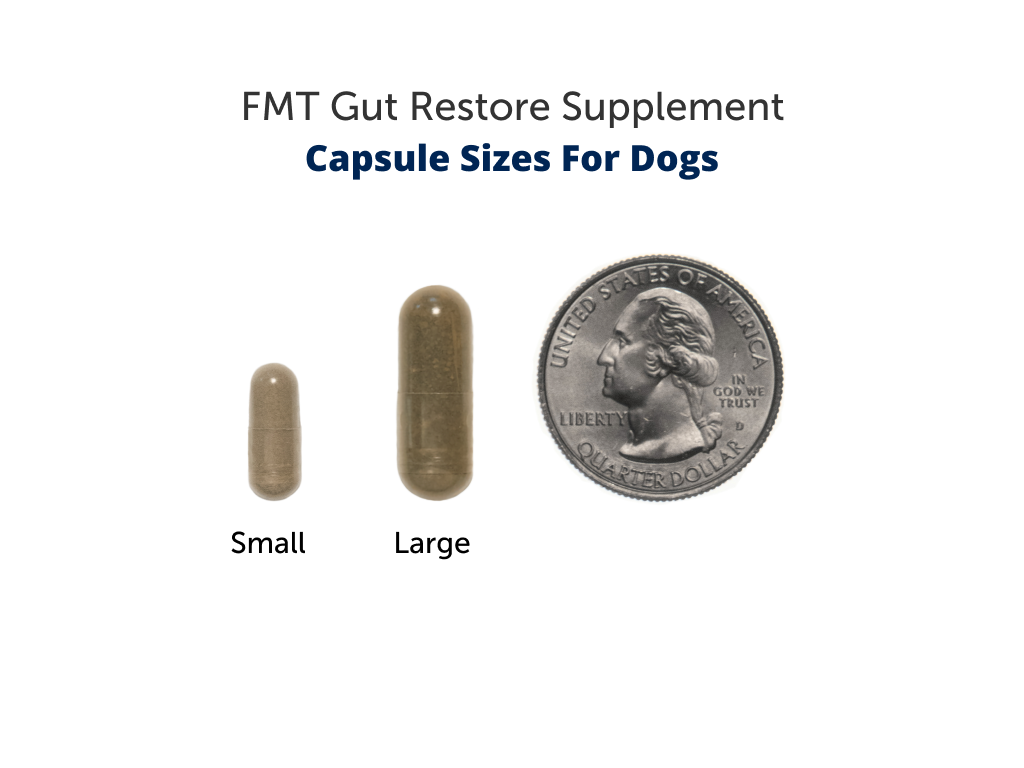 Raw-Fed FMT Gut Restore Capsules for Dogs (3 Sizes Available)