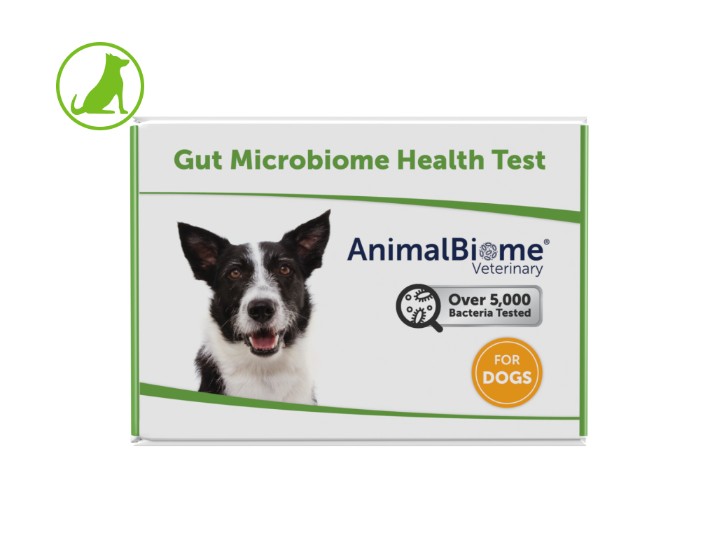 Gut Health Test For Dogs (Single Test)