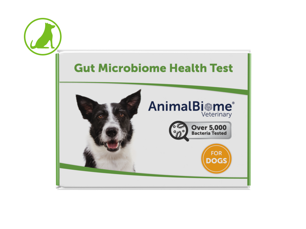 Gut Health Test For Dogs (Single Test) – AnimalBiome Veterinary