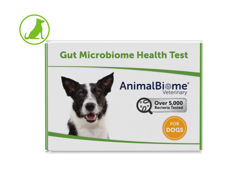 Health test best sale for dogs