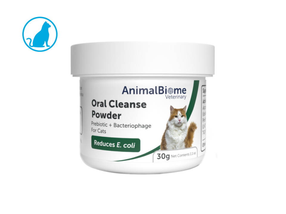 Lactulose powder for store cats