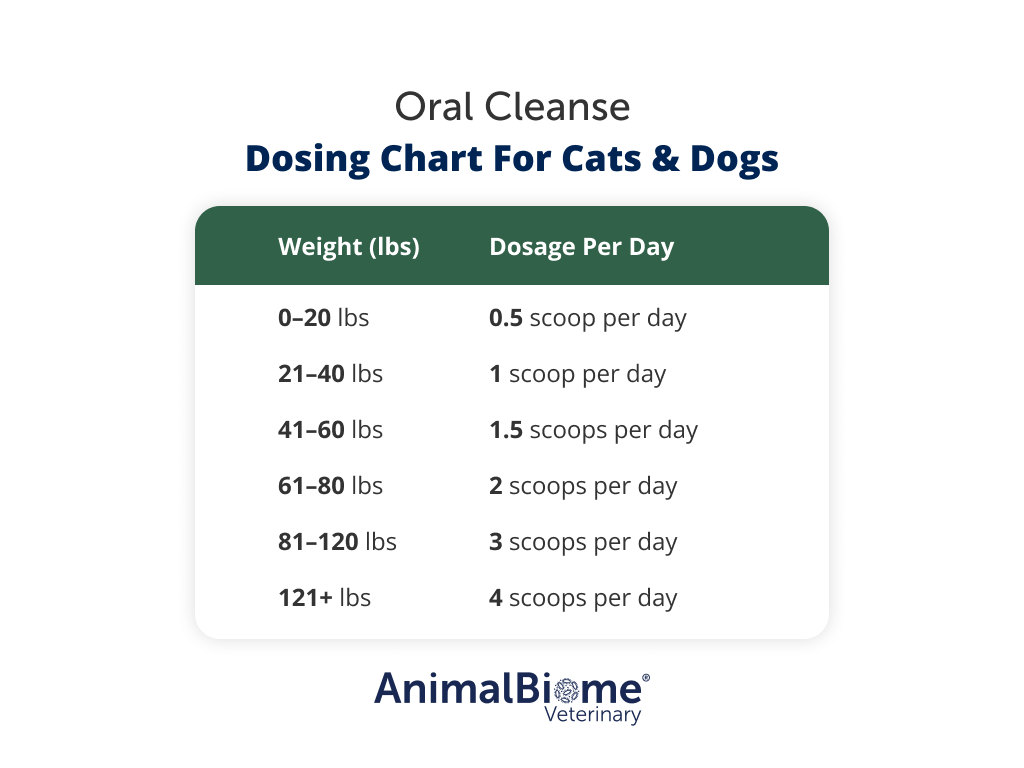 Oral Cleanse Powder For Cats and Dogs