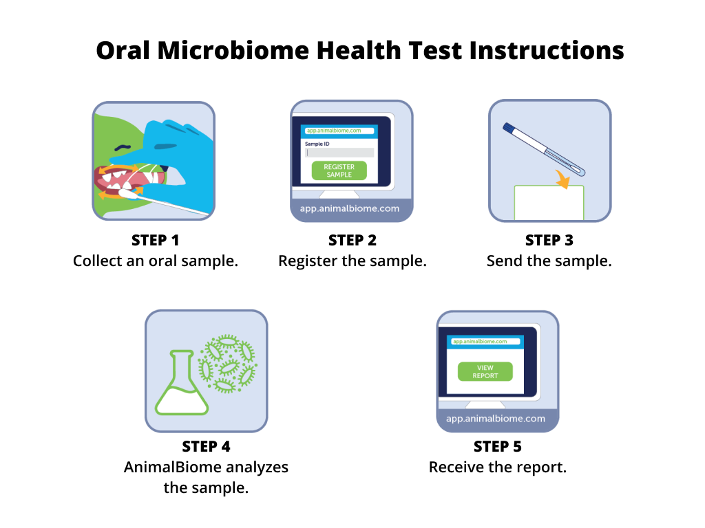Oral Health Test For Cats and Dogs (Single Test)