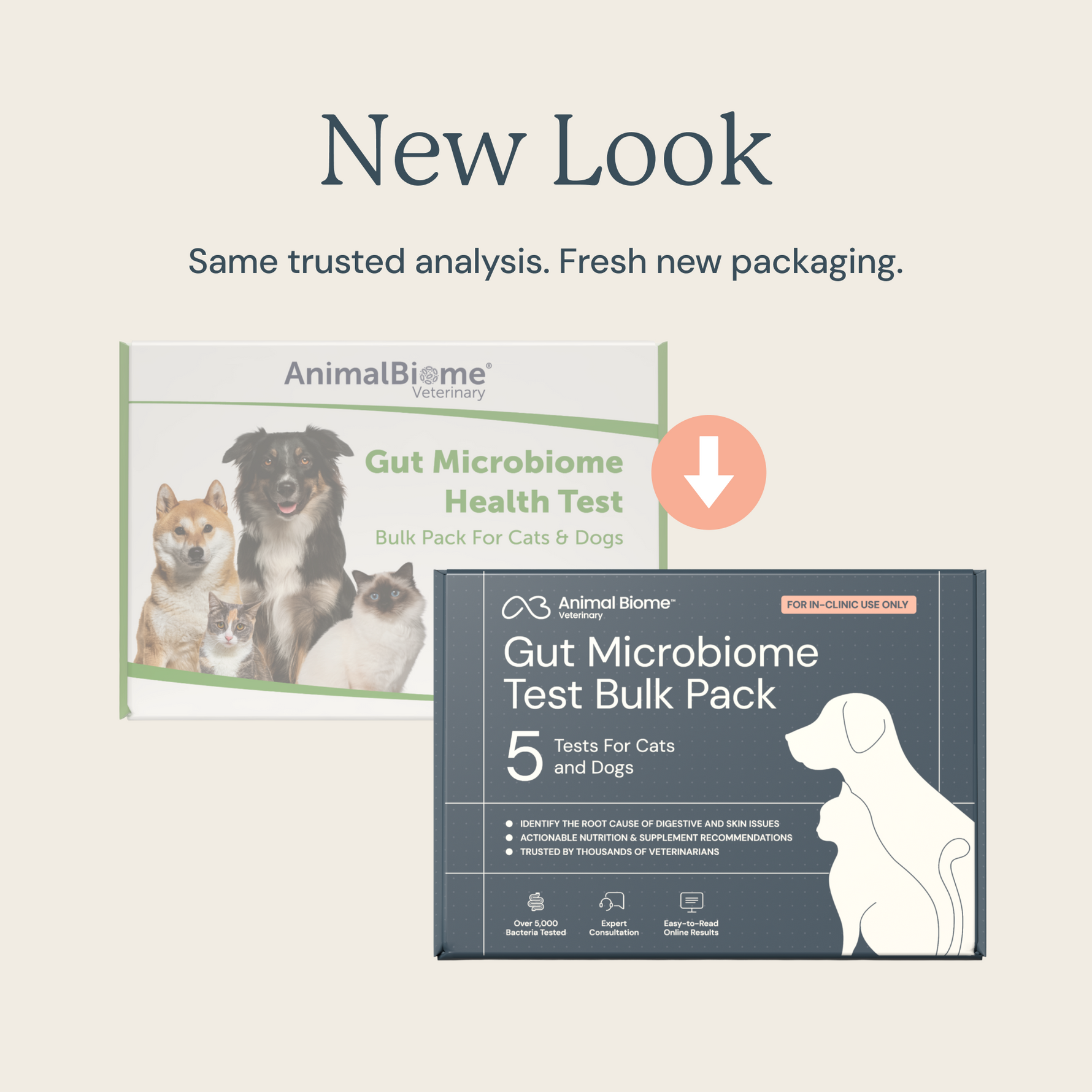 Animal Biome Veterinary Gut Microbiome Test Bulk Pack, 5 Tests For Cats and Dogs, New Look