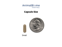Thumbnail for Skin & Coat Relief Kit For Cats