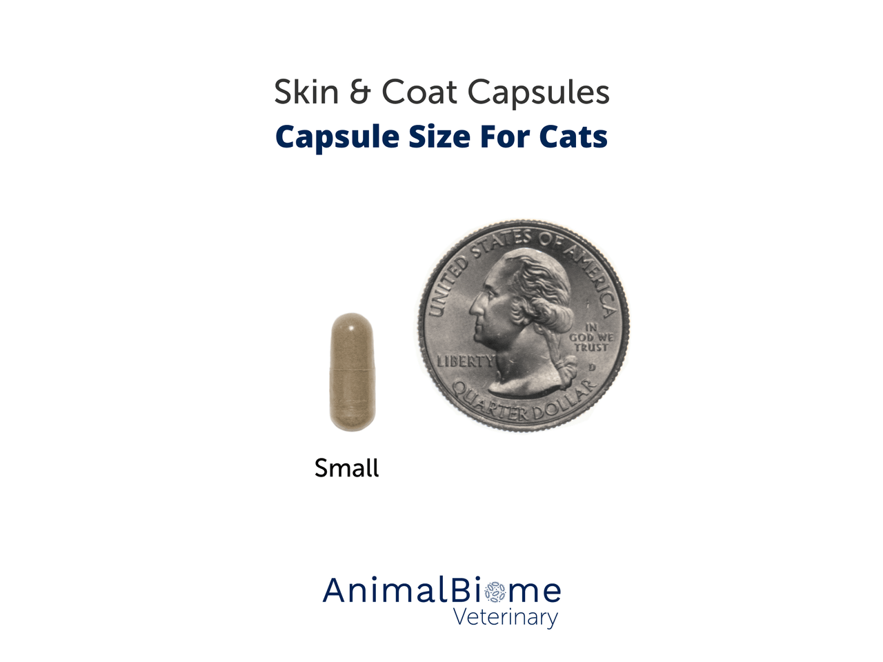 Skin & Coat Relief Capsules For Cats