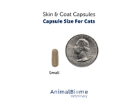 Thumbnail for Skin & Coat Relief Capsules For Cats