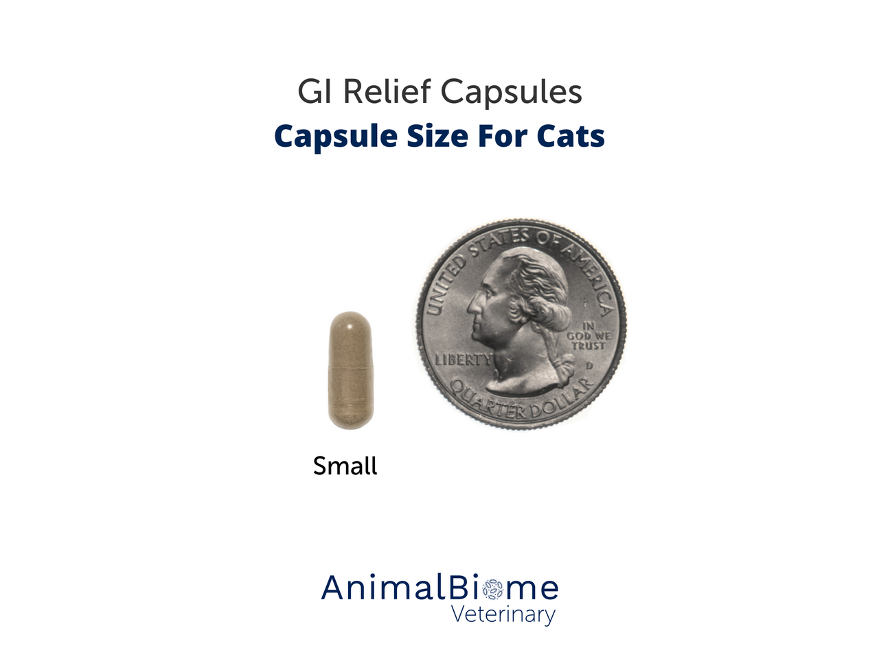 GI Relief Capsules For Cats
