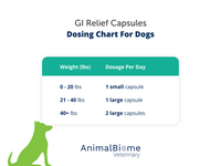 Thumbnail for GI Relief Capsules For Dogs
