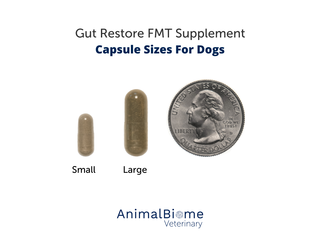 FMT Gut Restore Capsules For Dogs