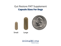 Thumbnail for FMT Gut Restore Capsules For Dogs