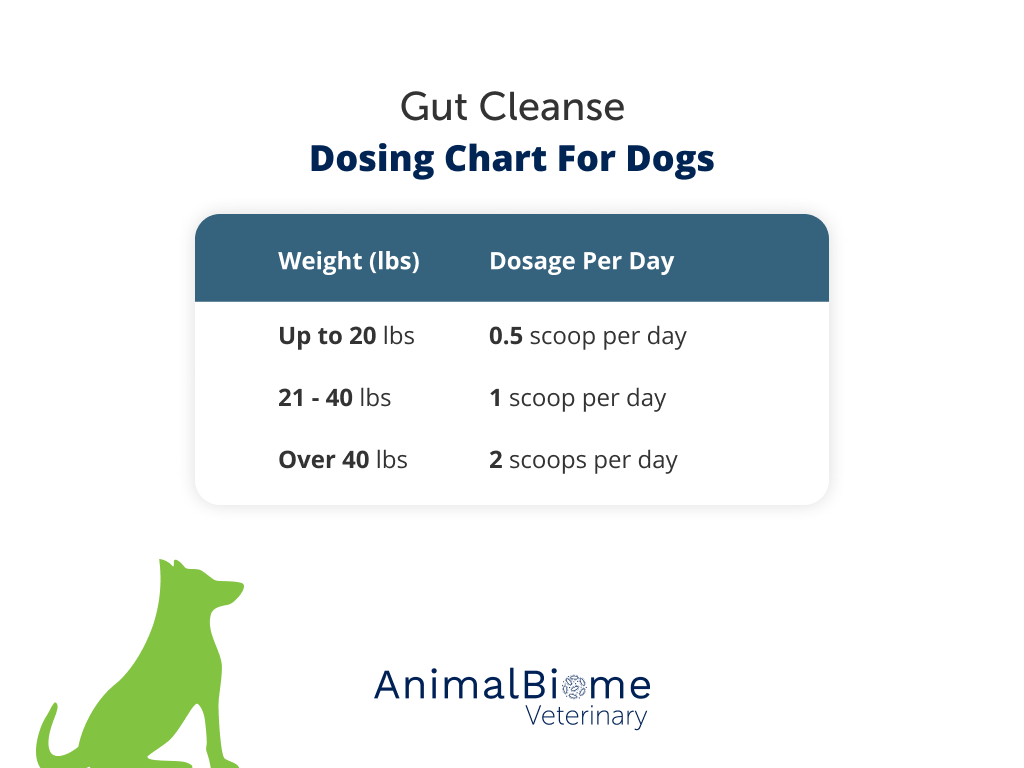 Gut Cleanse Powder For Dogs (Pumpkin Flavored)
